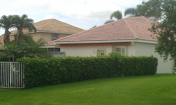 Custom Awning Image 77